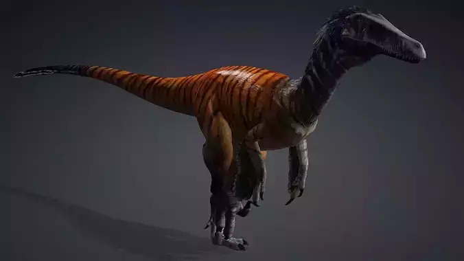 Austroraptor dinosaur 3D model type of dinosure 