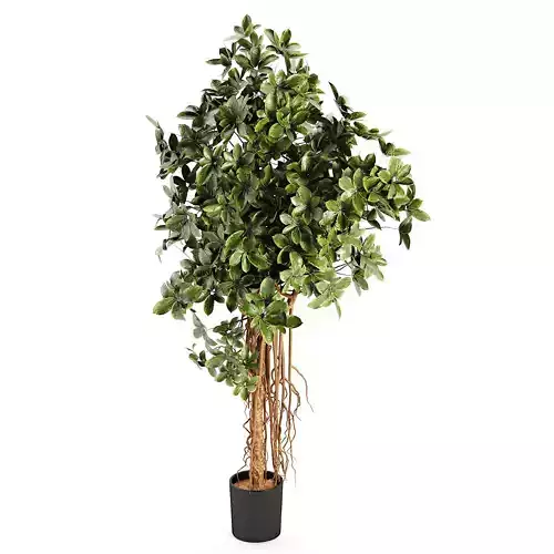 SCHEFFLERA ACTINOPHYLLA Artificial Tree Plant Low-poly 3D model