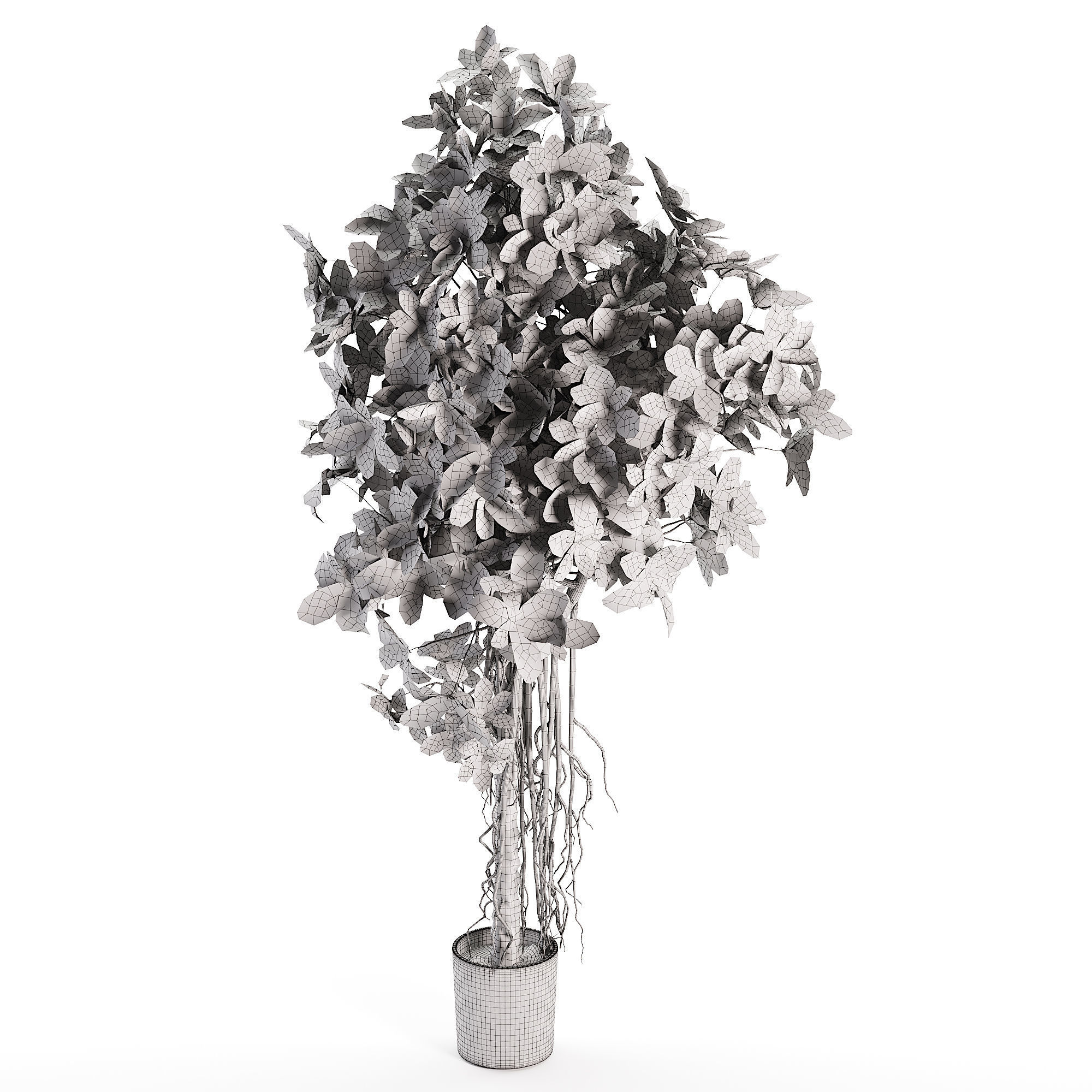 SCHEFFLERA ACTINOPHYLLA Artificial Tree Plant Low-poly 3D model_3