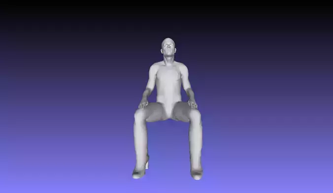 Printle V Homme 2947 P