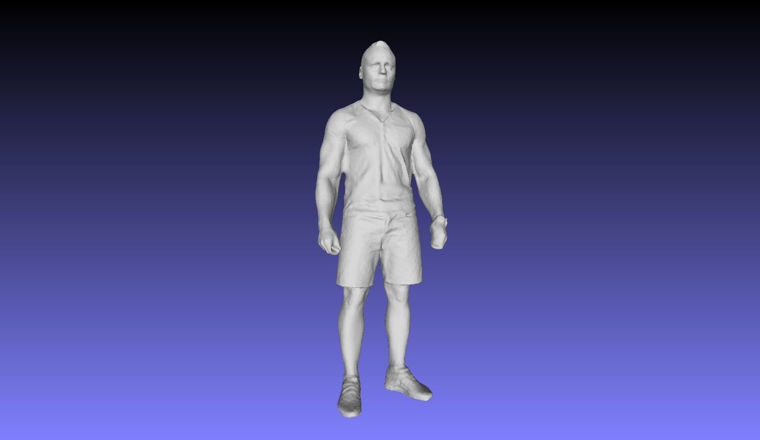Printle L Homme 2946 P 3D print model_1