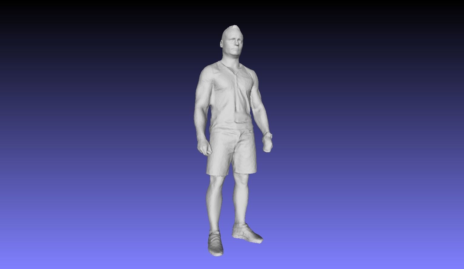 Printle L Homme 2946 P 3D print model_2