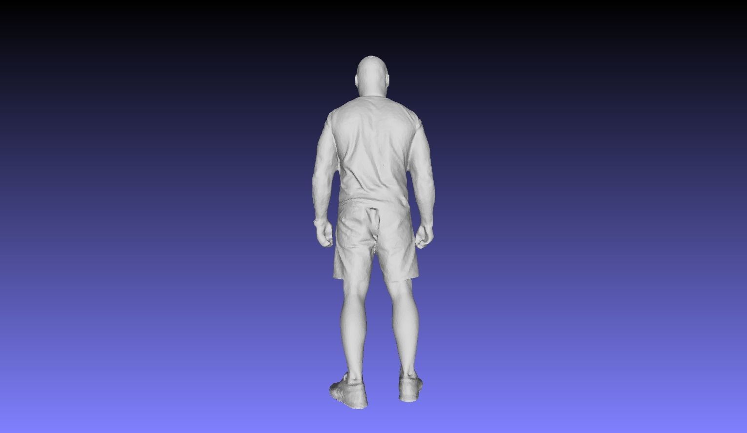 Printle L Homme 2946 P 3D print model_15
