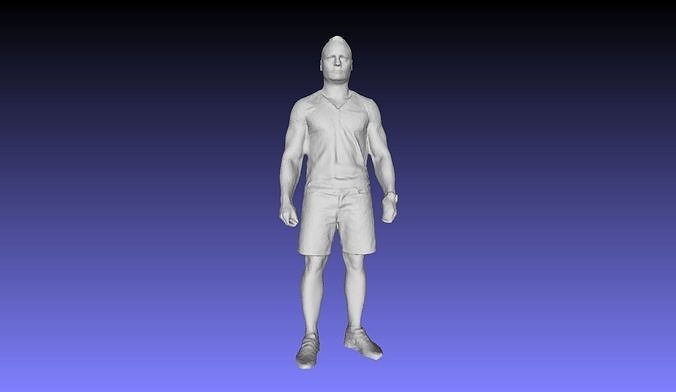 Printle L Homme 2946 P 3D print model