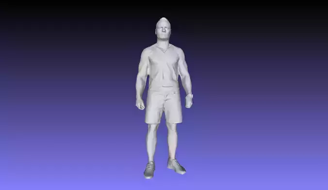 Printle L Homme 2946 P 3D print model
