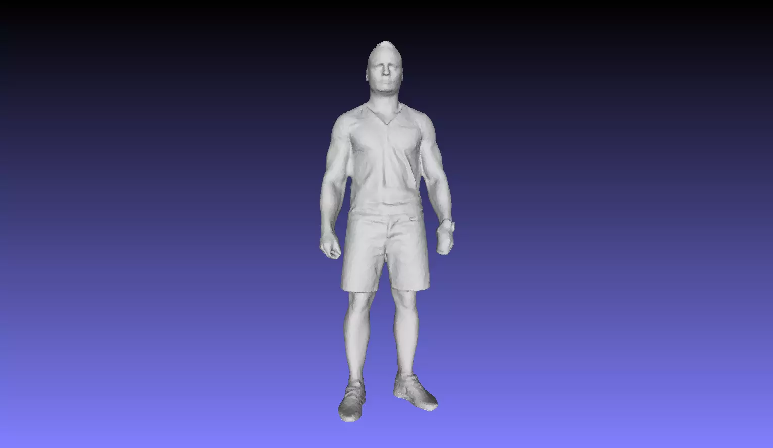 Printle L Homme 2946 P 3D print model_0