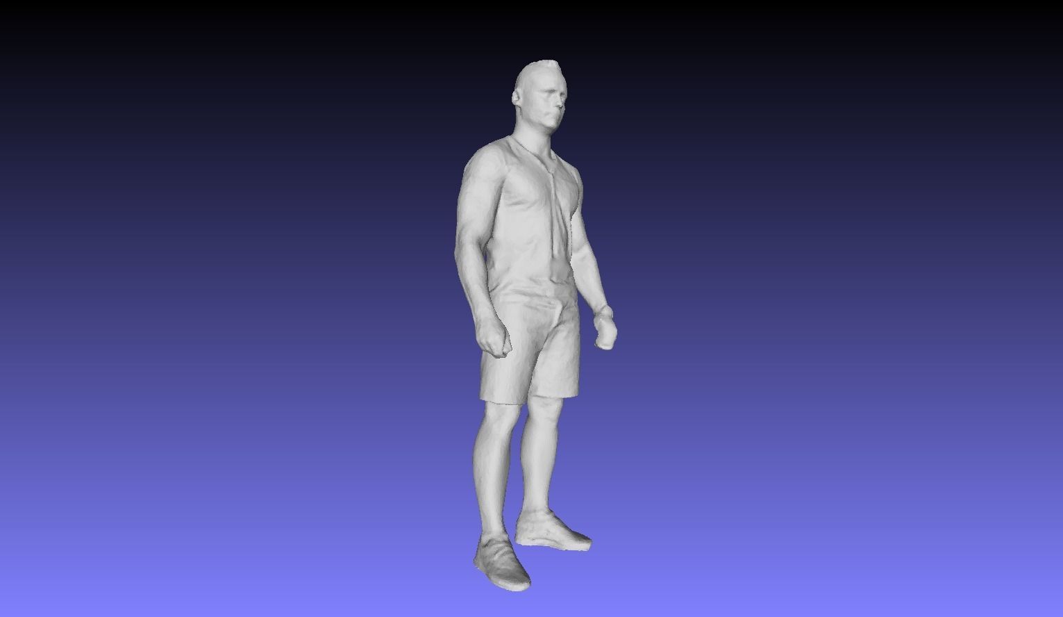 Printle L Homme 2946 P 3D print model_4