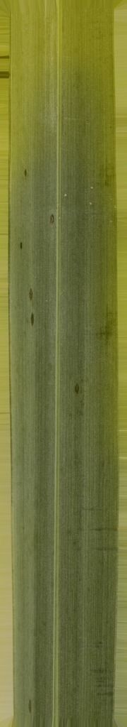 B-W VILLAS 3D model_5