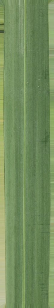 B-W VILLAS 3D model_13