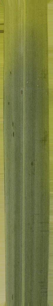 B-W VILLAS 3D model_6