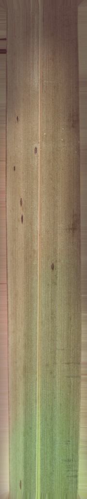 B-W VILLAS 3D model_8