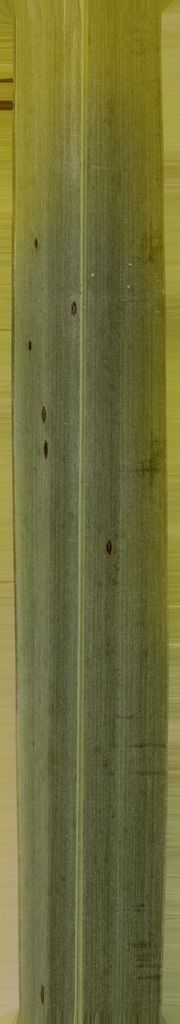 B-W VILLAS 3D model_3