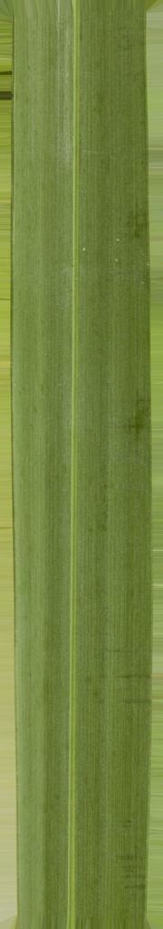 B-W VILLAS 3D model_11