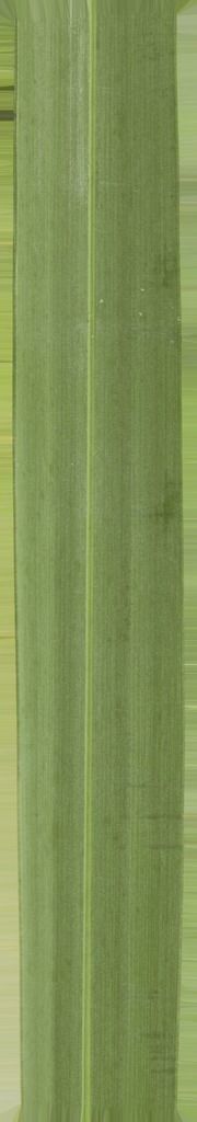 B-W VILLAS 3D model_12