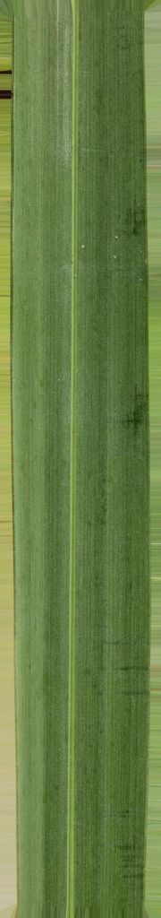 B-W VILLAS 3D model_2