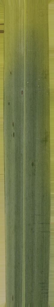 B-W VILLAS 3D model_7