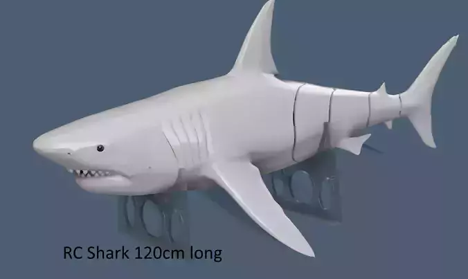 Big White Shark for RC 120cm 3D print model