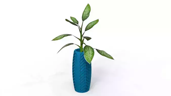 Vases Flowerpot