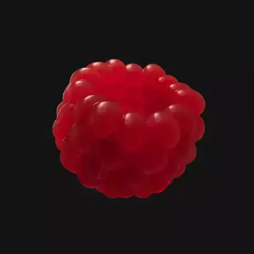 Raspberry realistic 3d model project file included  3D model