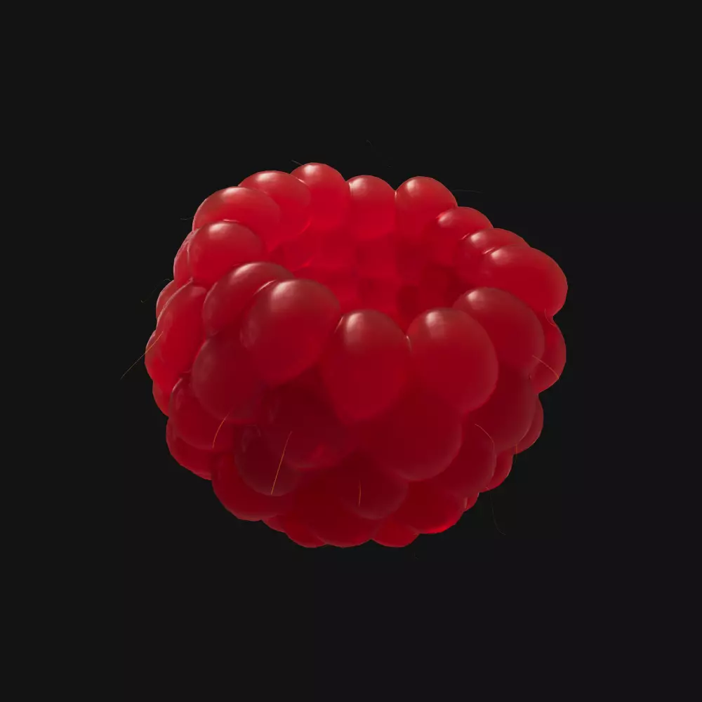 Raspberry realistic 3d model project file included  3D model_0