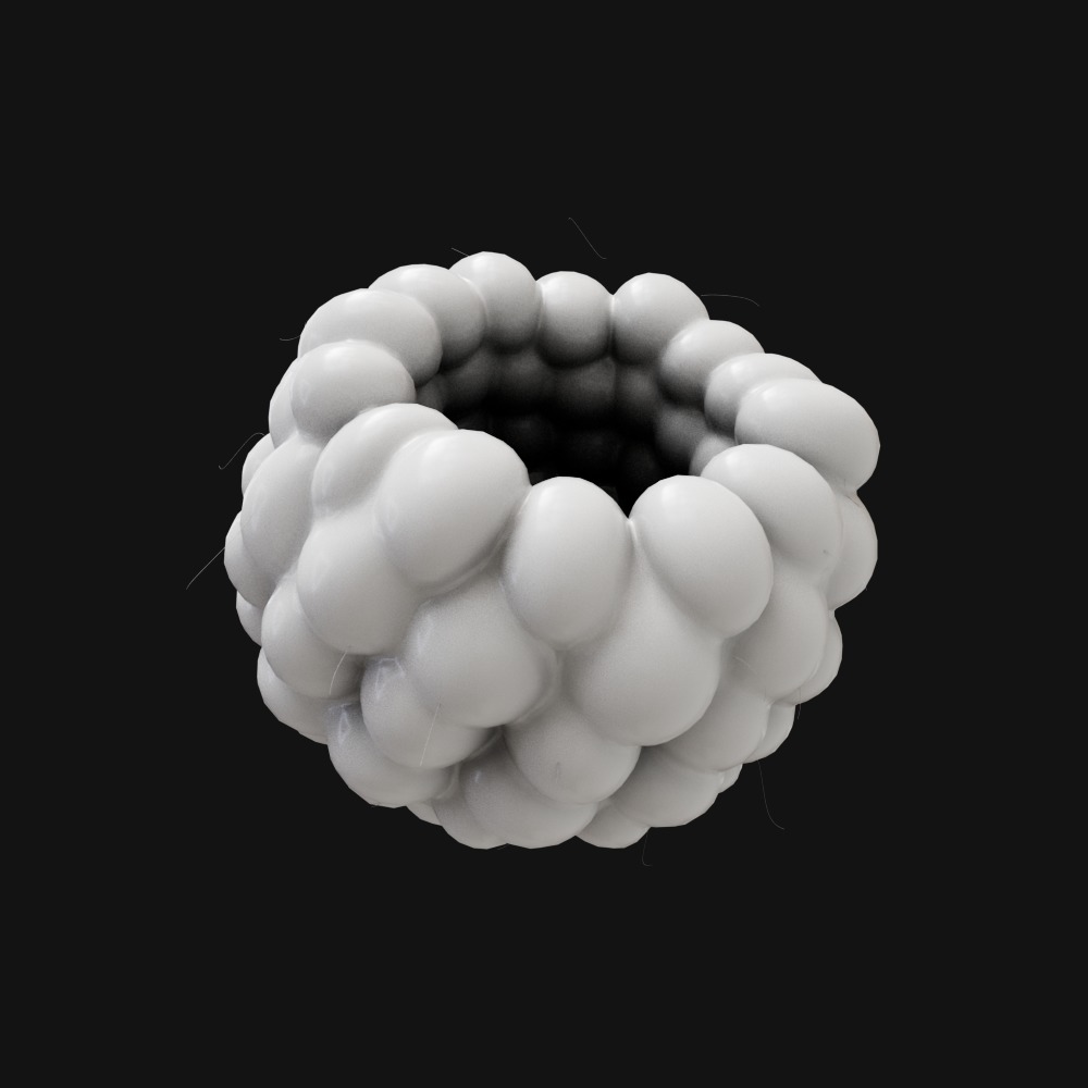 Raspberry realistic 3d model project file included  3D model_1