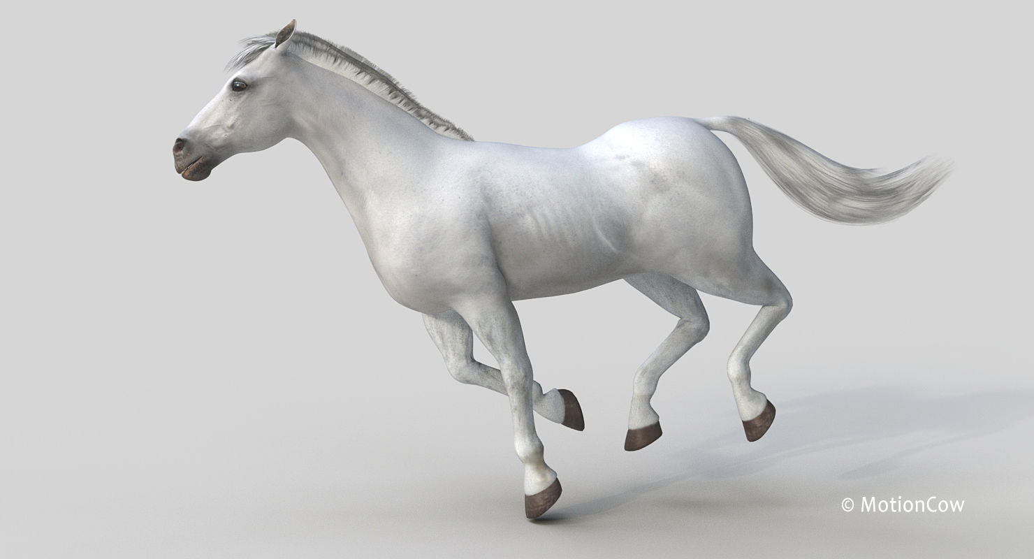Horse PRO - White 3D model_6