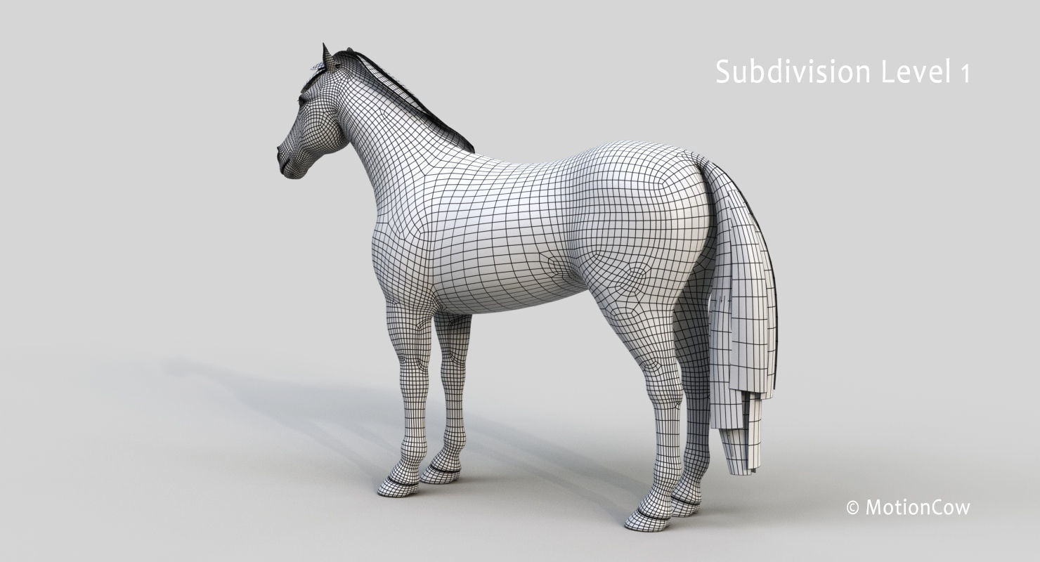 Horse PRO - White 3D model_26