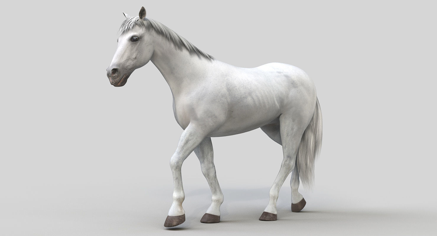 Horse PRO - White 3D model_2