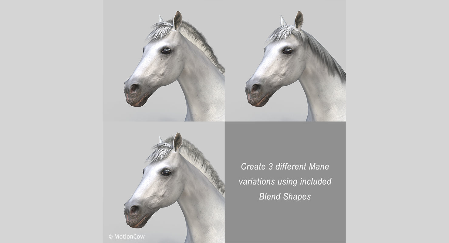 Horse PRO - White 3D model_15