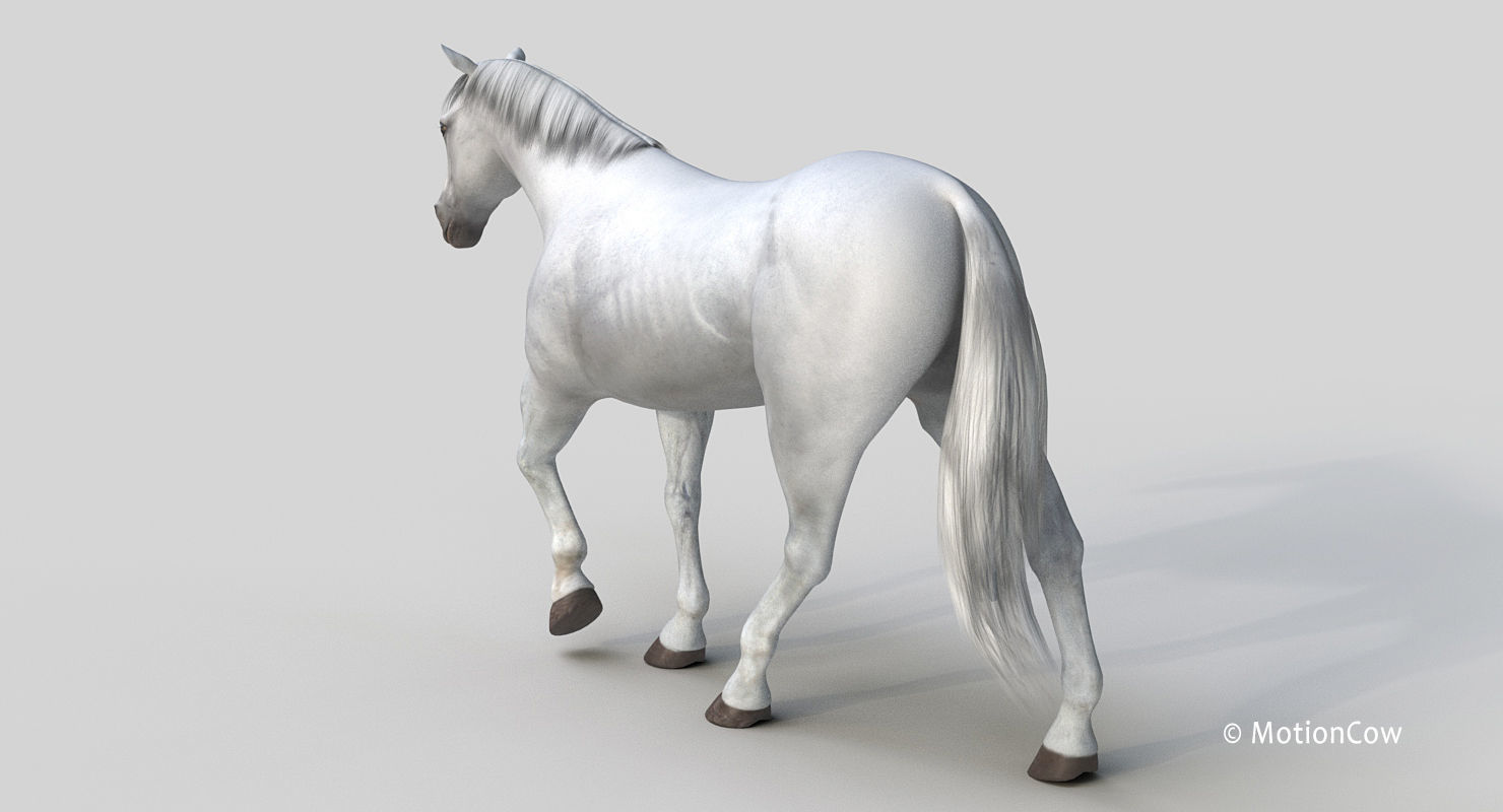 Horse PRO - White 3D model_3