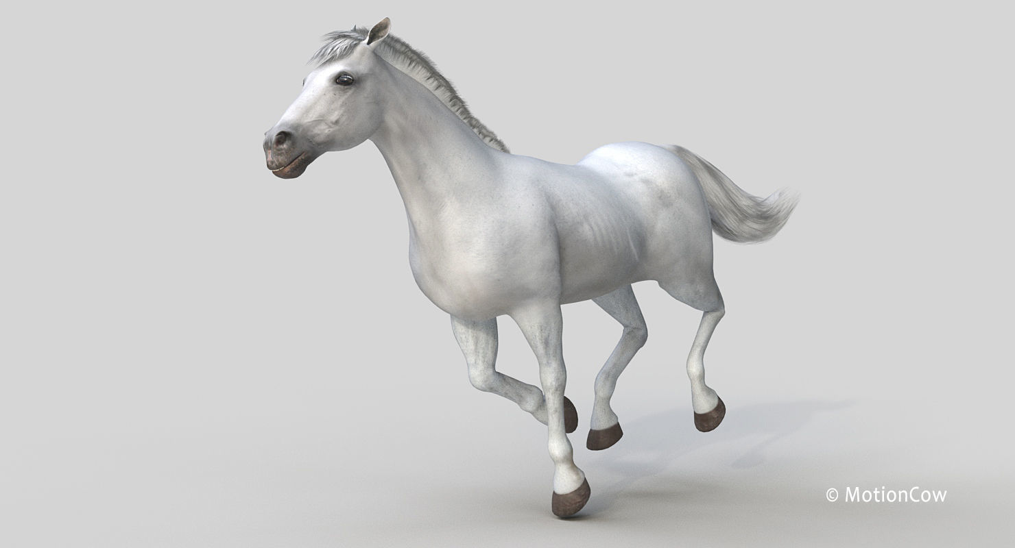 Horse PRO - White 3D model_5