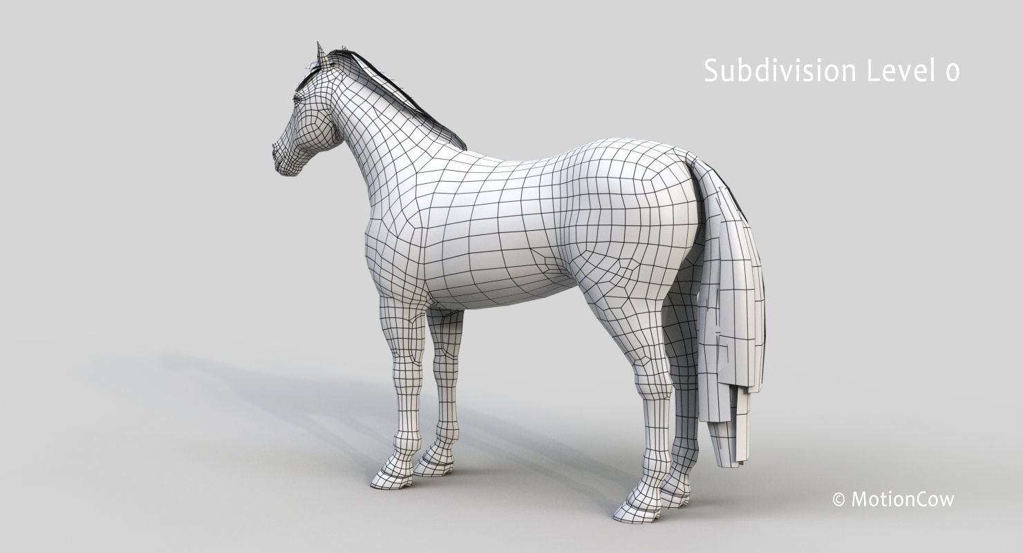 Horse PRO - White 3D model_25