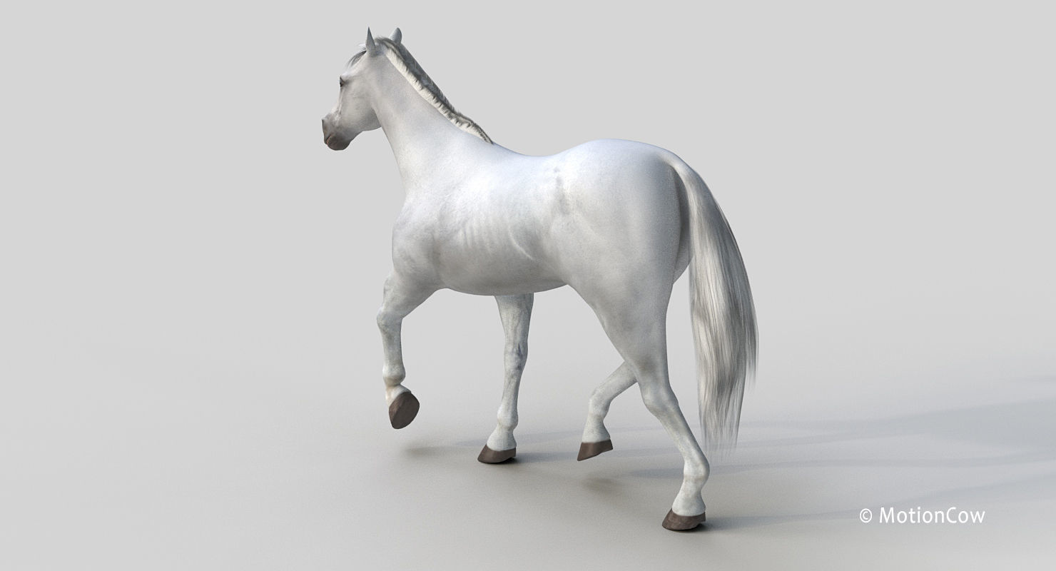 Horse PRO - White 3D model_9