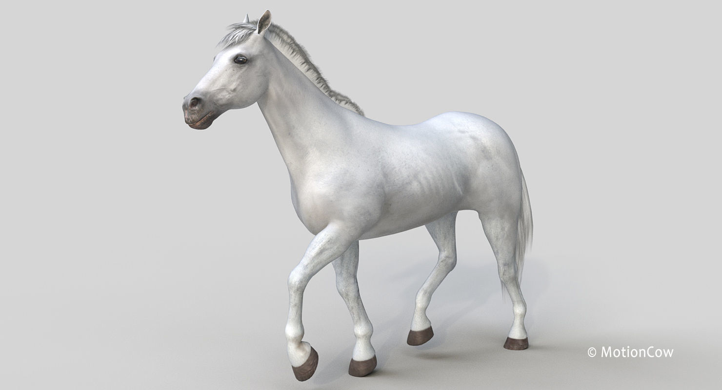Horse PRO - White 3D model_8