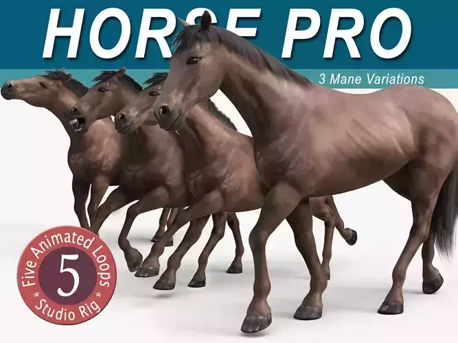 Horse PRO - Dark Brown