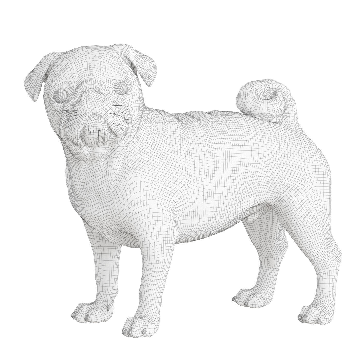 Realistic 3D model of a pug dog 3D model_5