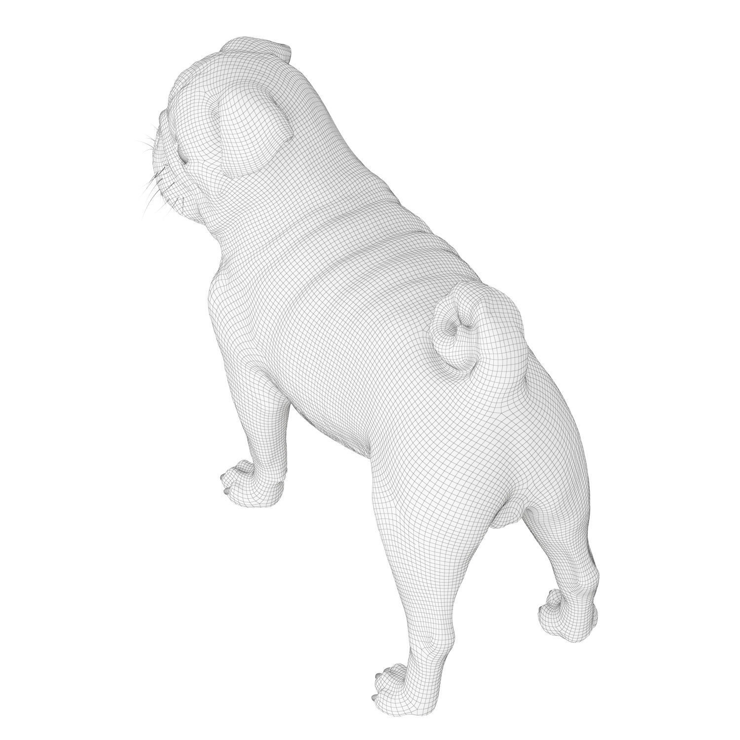Realistic 3D model of a pug dog 3D model_6