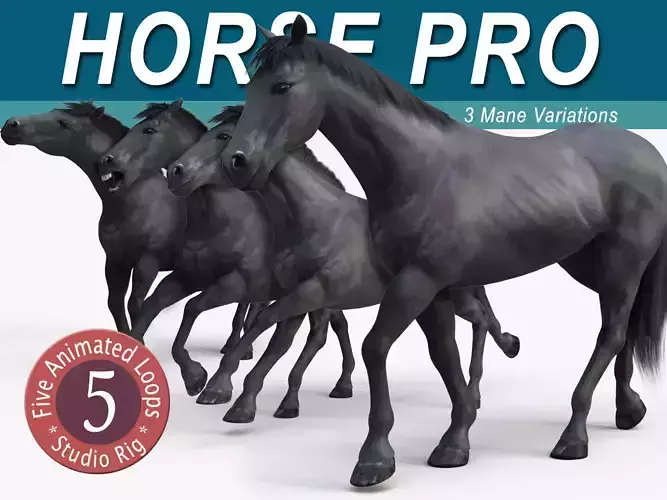 Horse PRO - Black 