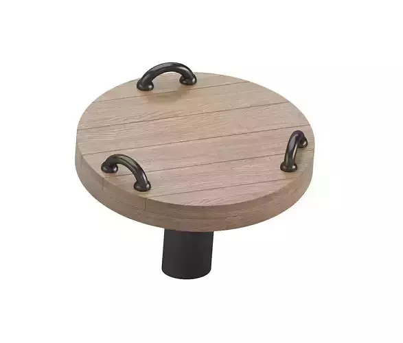 Spinner Plate 3D model