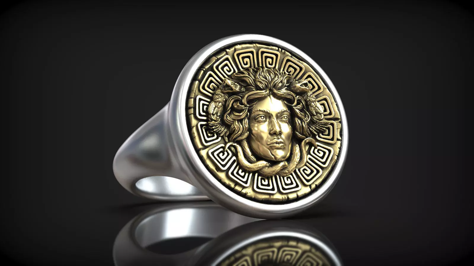 Medusa Gorgona Head Greek Traditional Ornament Coin Ring 3D print model