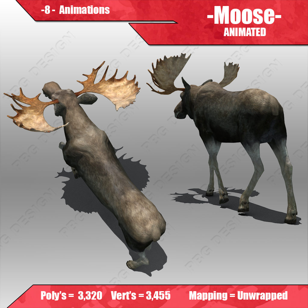 Moose Animated 3D model_1