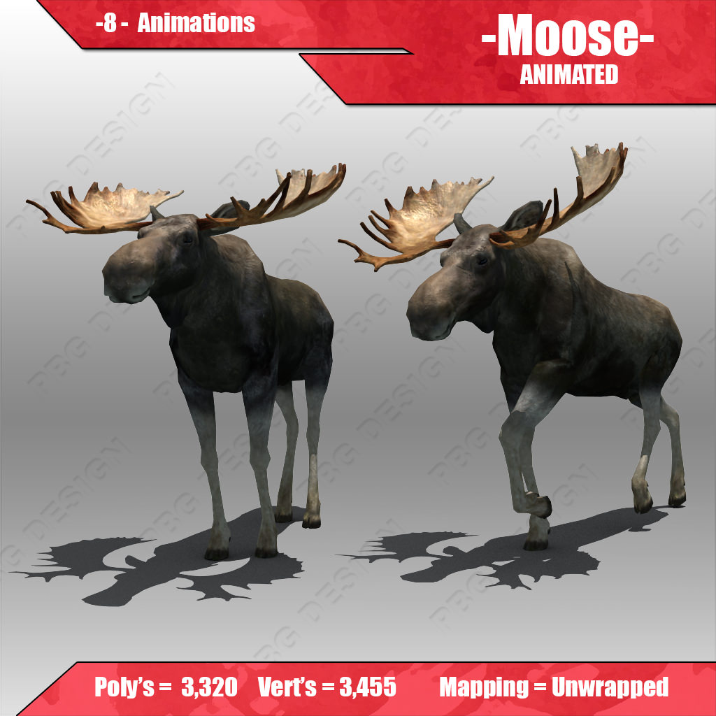 Moose Animated 3D model_3