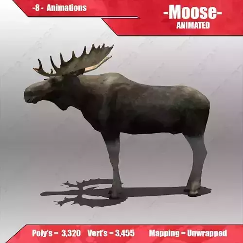 Moose Animated 3D model