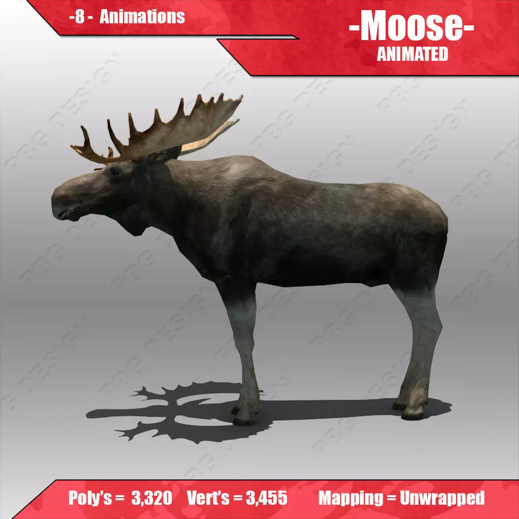Moose Animated 3D model_0