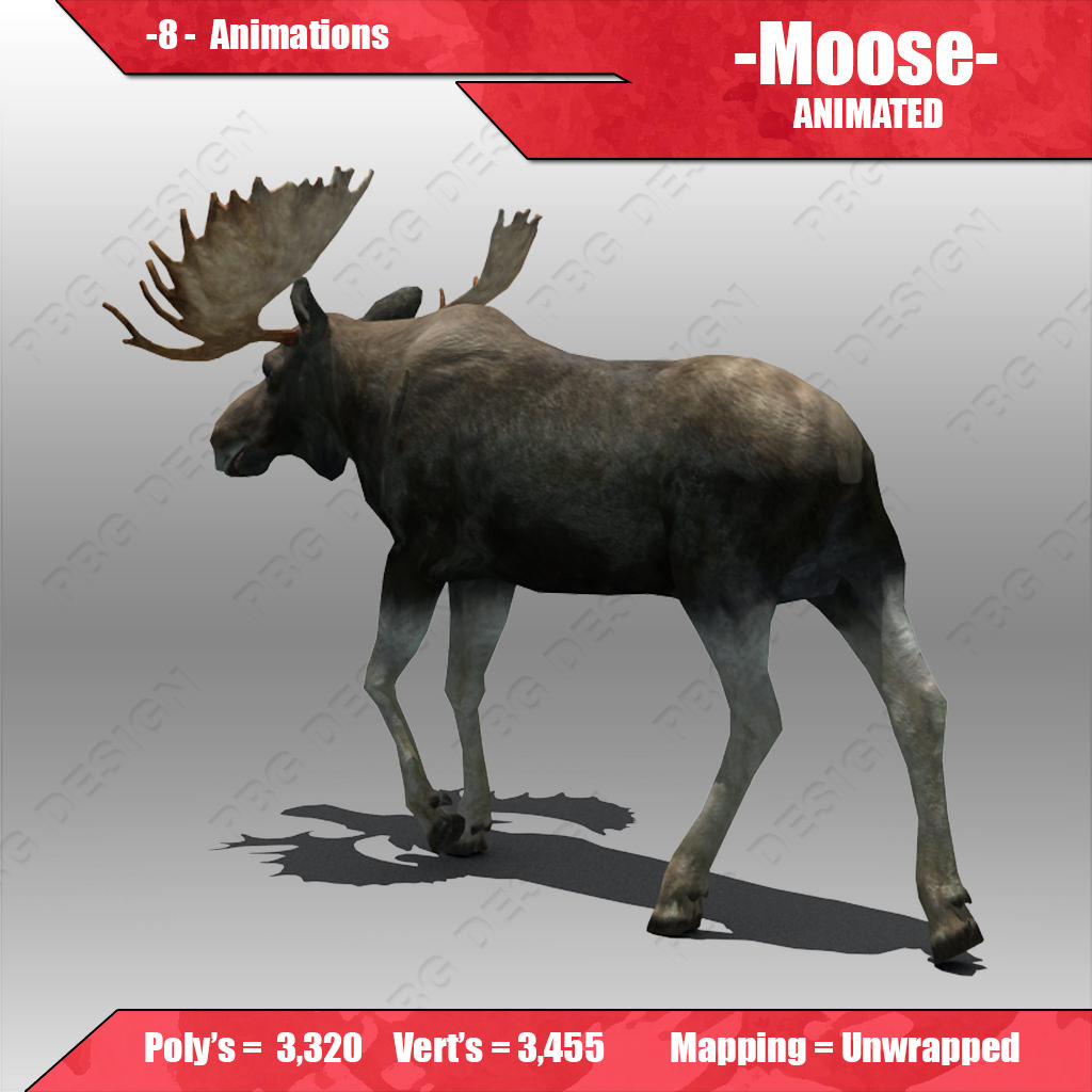 Moose Animated 3D model_2