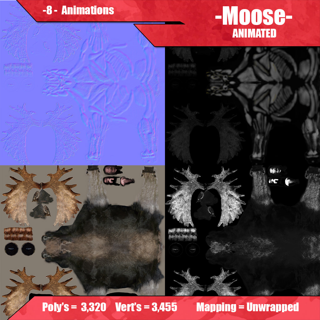 Moose Animated 3D model_5