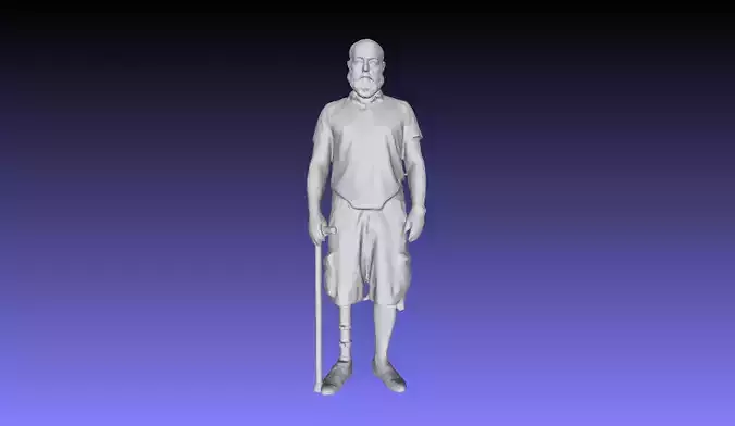 Printle D Homme 2943 P