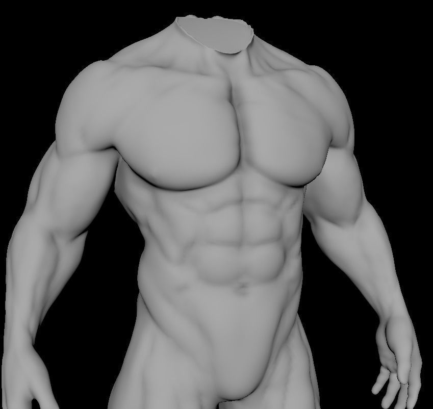 muscular sculpt base mesh humanly accurate 3D model_3