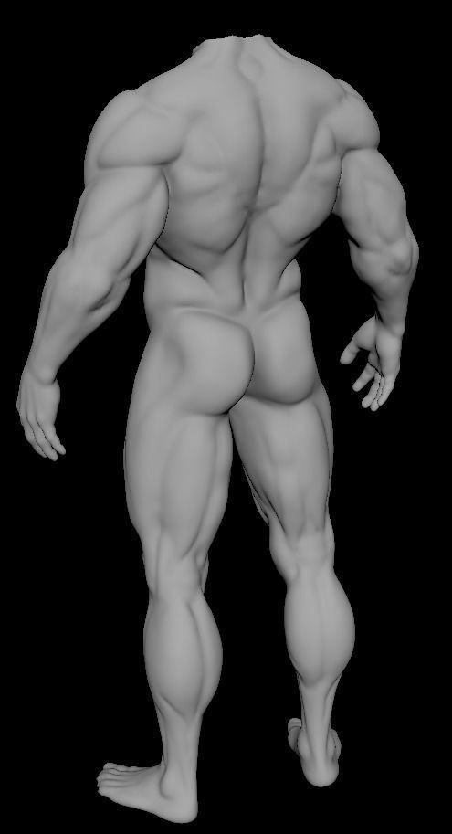 muscular sculpt base mesh humanly accurate 3D model_2