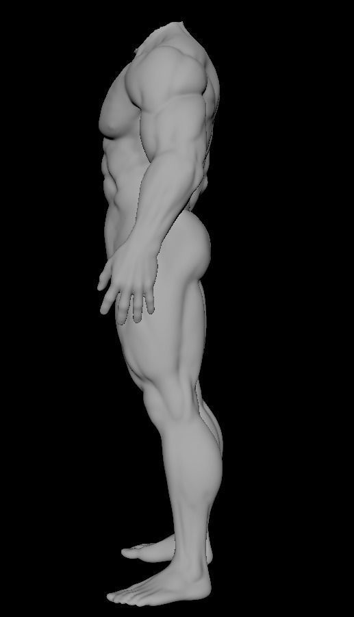 muscular sculpt base mesh humanly accurate 3D model_1